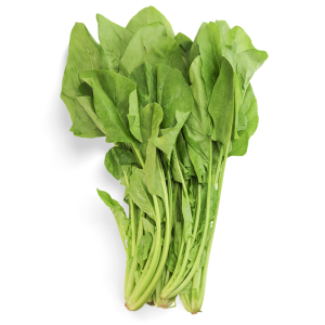履歷菠菜