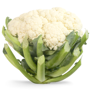 履歷白花菜