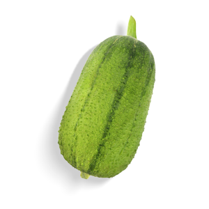 履歷蘋果絲瓜