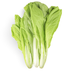 有機小白菜