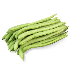 有機敏豆