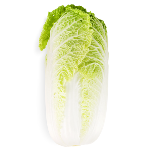 有機高山翠玉白菜