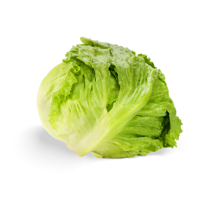 精選美生菜