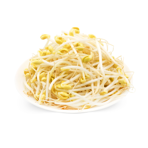 有機黃豆芽
