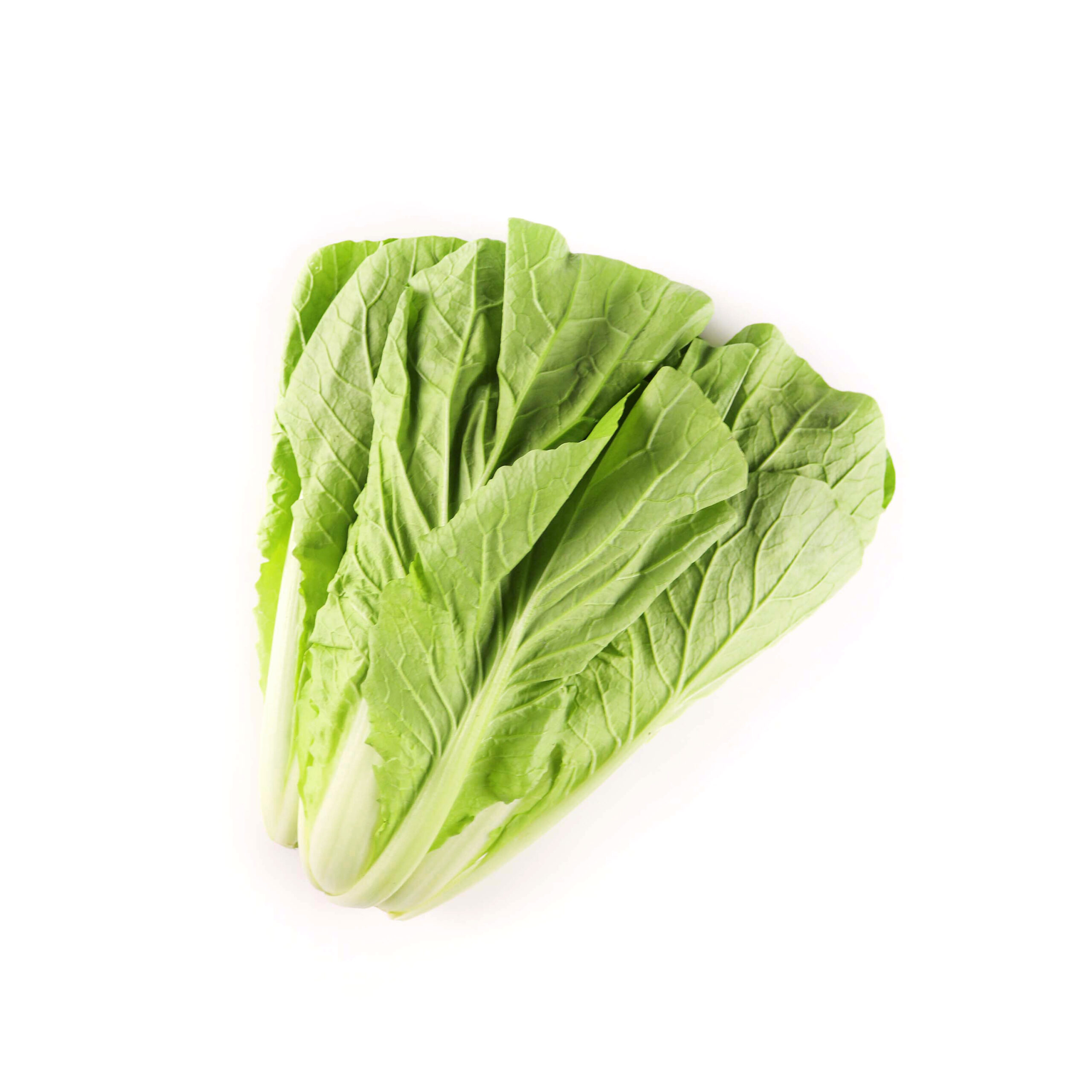 優境生鮮 履歷小白菜 250g 產品 白背1