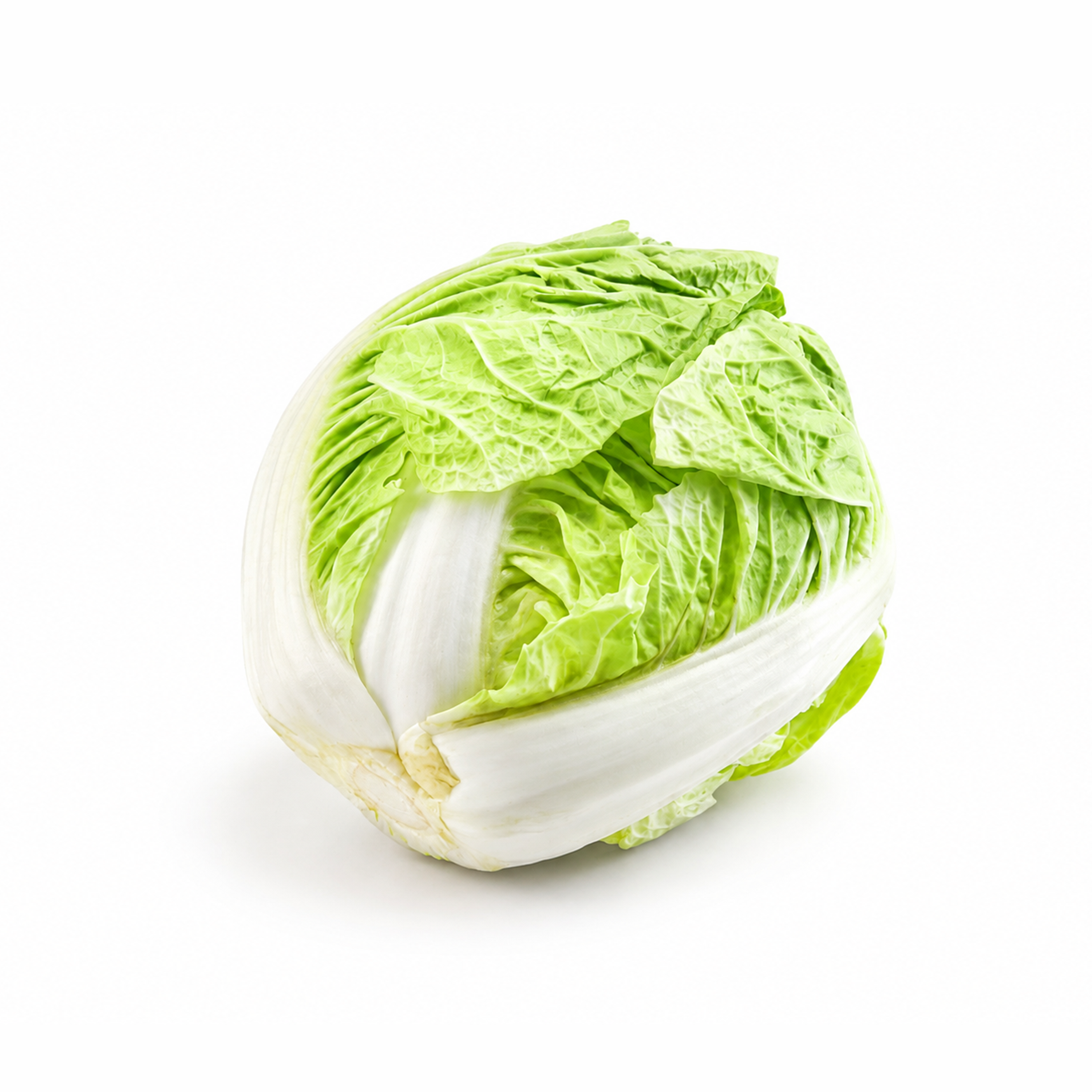 大白菜